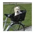 Trixi Fahrradkorb mit Gitter