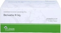 PZN-DE 04886756, Hom&ouml;opathisches Laboratorium Alexander Pfl&uuml;ger Derivatio H Inj.,