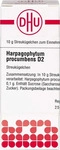 PZN-DE 07457116, DHU-Arzneimittel Harpagophytum Procumbens D 2 Globuli, 10 g,