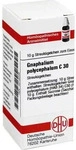 PZN-DE 04219008, DHU-Arzneimittel GNAPHALIUM POLYC C30, 10 g, Grundpreis: &euro;