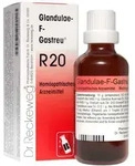 Glandulae F Gastreu R 20 Tropfen zum Einnehmen