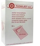 Rudavlies-steril Verbandpflaster 10x12 cm