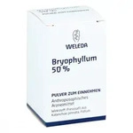 Bryophyllum 50% Pulver zum Einnehmen