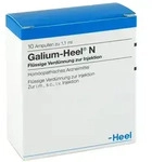Galium Heel N Ampullen