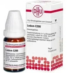 Ledum C200 Globuli