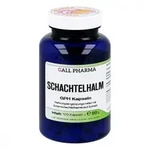 Schachtelhalm Kapseln