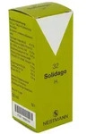 Solidago H 32 Tropfen