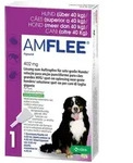 Amflee 402 mg L&ouml;sung zur, zum Auftropfen f&uuml;r sehr gro&szlig;e Hunde