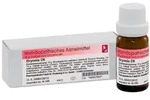 Dr. Reckeweg Bryonia D6