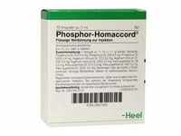Phosphor Homaccord Ampullen