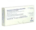 Equisetum Arvense Silicea cultum D3 Ampullen