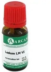 Ledum Arcana Lm 6 Dilution