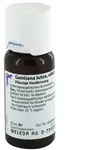 Gentiana Lutea D1 Dilution