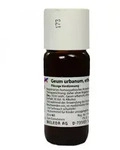 Geum Urbanum D1 Dilution