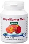 Nopal Kaktus mex.Kapseln