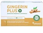 Gingerin Plus Kapseln