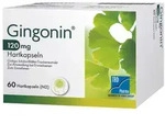 Gingonin 120 mg Hartkapseln