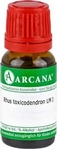 PZN-DE 13053506, Rhus Toxicodendronicodendron LM 01 Dilution Inhalt: 10 ml,