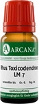 PZN-DE 13053570, Rhus Toxicodendronicodendron LM 07 Dilution Inhalt: 10 ml,