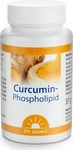 PZN-DE 12580304, Curcumin-Phospholipid Dr. Jacob's Kapseln Inhalt: 39 g, Grundpreis: