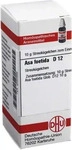 PZN-DE 02893999, DHU Asa foetida D 12 Globuli Inhalt: 10 g, Grundpreis: &euro;...