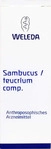 PZN-DE 02904533, Sambucus / Teucrium comp. Dilution Mischung Inhalt: 50 ml,