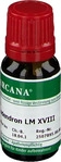 PZN-DE 02603576, Rhus toxicodendron Arcana LM 18 Dilution Inhalt: 10 ml, Grundpreis: