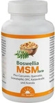 PZN-DE 16739807, Boswellia MSM forte Dr. Jacob's Tabletten Inhalt: 99.9 g,