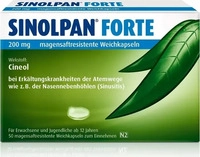 PZN-DE 13816950, SINOLPAN FORTE 200 mg Weichkapseln Magensaftresistente...