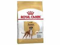 12kg Royal Canin Boxer Adult Hundefutter trocken