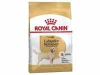 12kg Labrador Retriever Adult Royal Canin Hundefutter trocken