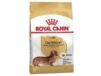 7,5kg Dachshund Adult Royal Canin Hundefutter trocken