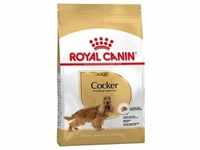 12kg Cocker Adult Royal Canin Hundefutter trocken