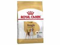 12kg Royal Canin Beagle Adult Hundefutter trocken