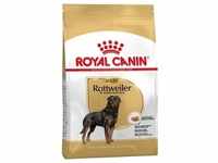 12kg Rottweiler Adult Royal Canin Hundefutter trocken