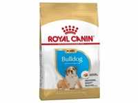 12 kg Royal Canin Bulldog Puppy Hundetrockenfutter