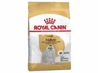 1,5kg Royal Canin Breed Maltese Adult Hundefutter trocken