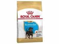 12 kg Royal Canin Rottweiler Puppy Hundetrockenfutter