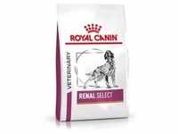 10 kg Royal Canin Veterinary Canine Renal Select Hundetrockenfutter