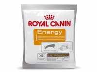 10x50g Energy Belohnungssnack Royal Canin Hundesnack