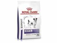 3,5kg Royal Canin Expert Dental Small Dog Hundefutter trocken