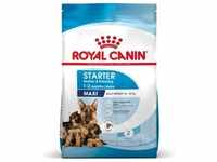 15kg Royal Canin Maxi Starter Mother & Babydog Hundefutter trocken