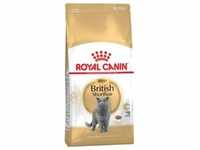 10kg British Shorthair Adult Royal Canin Breed Katzenfutter trocken