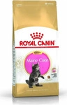 Royal Canin Breed Royal Canin Maine Coon Kitten - 4 kg (Katzenfutter), Grundpreis: