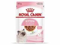 96x85g Royal Canin Kitten in Soße Nassfutter Katze