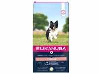 12 kg Eukanuba Senior Small & Medium Breed Lamm & Reis Hundetrockenfutter