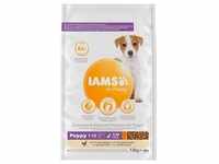 IAMS Advanced Nutrition Puppy Small / Medium Breed mit Huhn - 12 kg, Grundpreis: