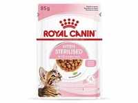 12x85g Royal Canin Sterilised Kitten in Soße Nassfutter Katze