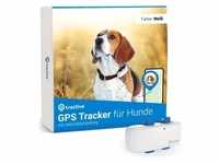 Tractive GPS Tracker für Hunde - 1 Stück weiß