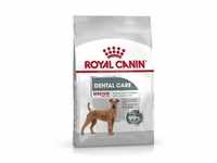 10 kg Royal Canin CCN Dental Care Medium Trockenfutter Hund